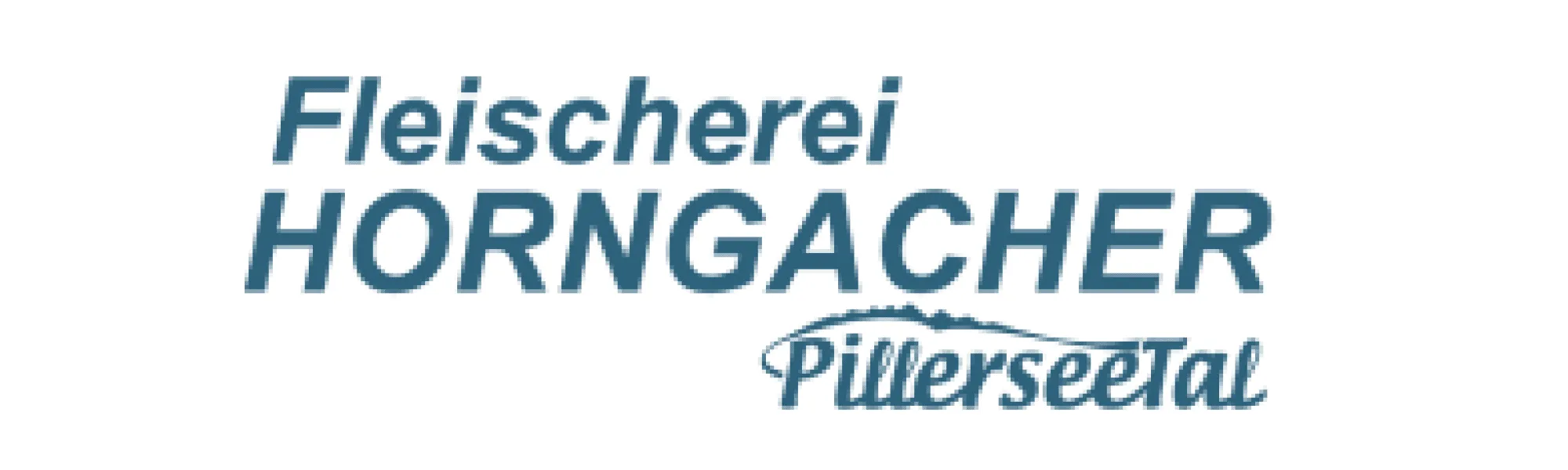 Horngacher_Web(1)
